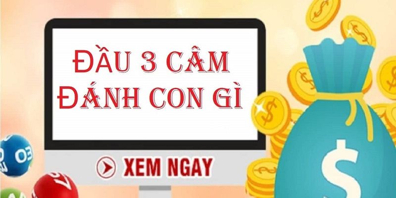 Đầu 3 Câm Đánh Con Gì Đảm Bảo Thắng Lớn Và Chuẩn Xác 100%