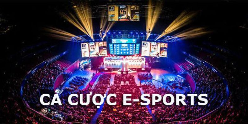 Người chơi được phép đặt cược lúc xem Esport của EE88