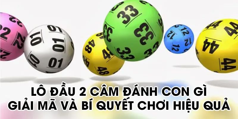 Giải mã thắc mắc về đầu 2 câm đánh con gì cho người chơi