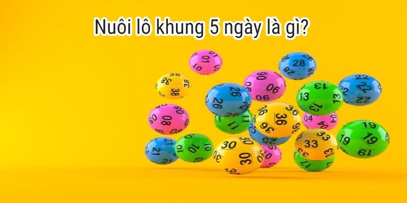 Giới thiệu sơ lược về nuôi lô khung 5 ngày